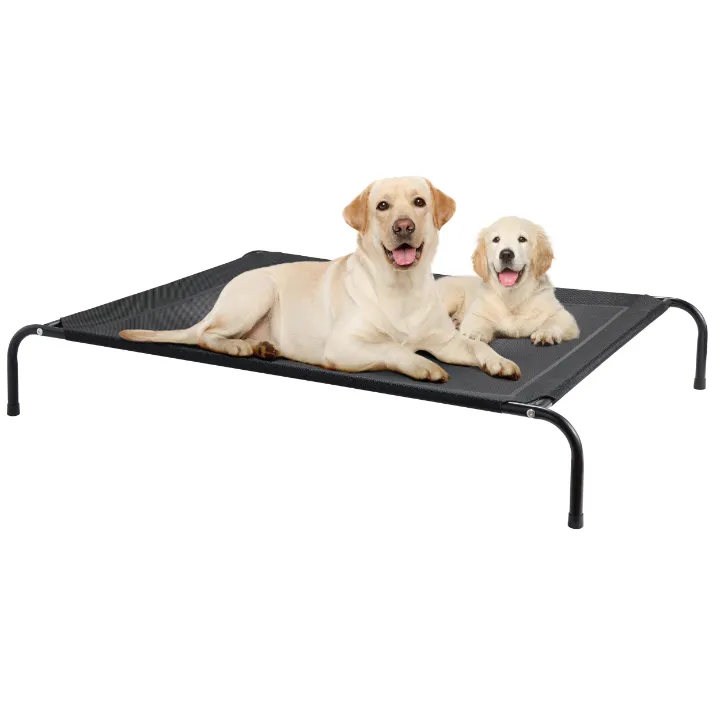 5 best elevated dog beds