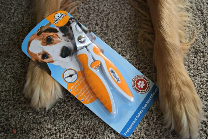 5 best nail clippers dogs