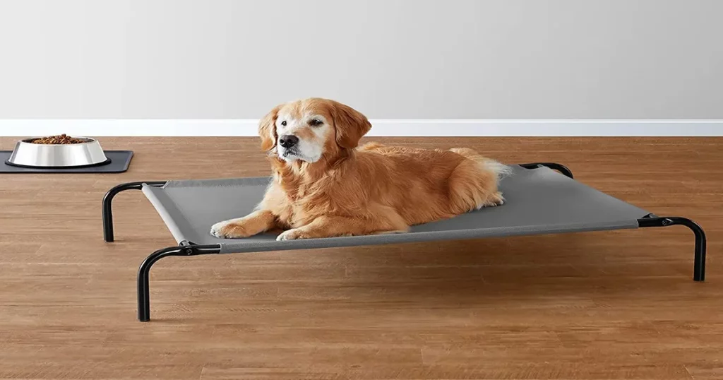 5 best elevated dog beds