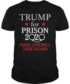 2020 Trump for president make America sane again shirt, hoodie
