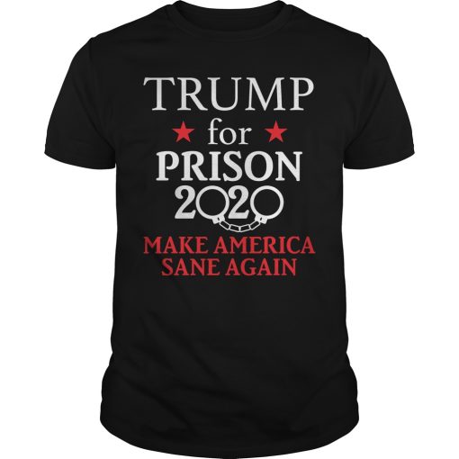 2020 Trump for president make America sane again shirt, hoodie