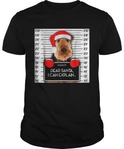 Airedale Terrier Lover Santa Hat Dog Christmas shirt