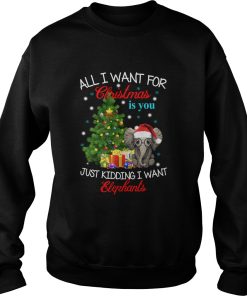 All I wan for Christmas is you Just kidding I want Elephants sweater