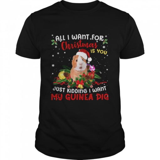 All I want for christmas is you just kidding I want my guinea pig shirt