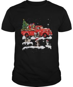 Beautiful Tibetan Terrier Riding Red Truck Xmas Merry Christmas Gifts shirt