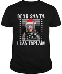 Bernese Mountain Dear Santa I Can Explain Christmas Sweater shirt