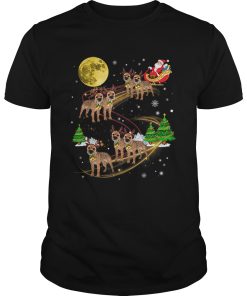 Border Terrier Dog Christmas Funny Dog Santa Xmas shirt