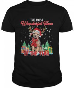Border Terrier Santa the most wonderful time of the year Christmas shirt