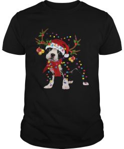 Boston Terrier Gorgeous Reindeer Christmas shirt