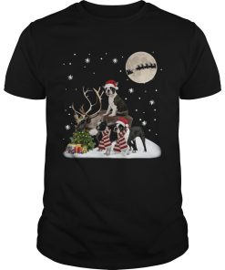 Boston Terrier Gorgeous With Reindeer Boston Lover Christmas shirt