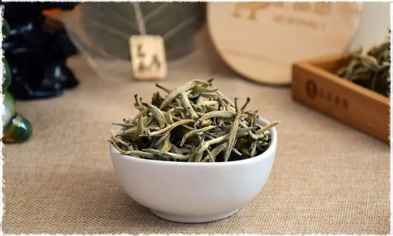 silver needle tea