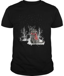 British Shorthair Snow Scarf Christmas shirt