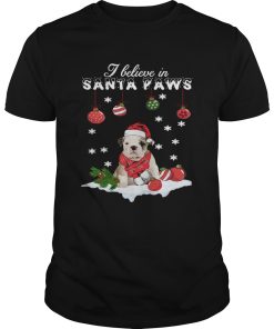 Bulldog I believe in Santa Paws Christmas shirt