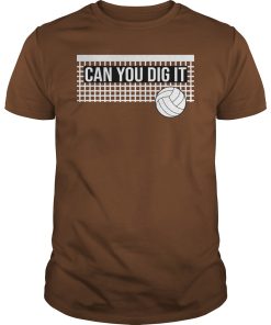 Can you dig it volleyball shirt, hoodie, long sleeve, ladies tee
