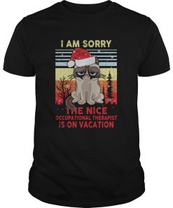 Cat Santa I Am Sorry The Nice Occupational Therapist Is On Vacation Vintage shirt
