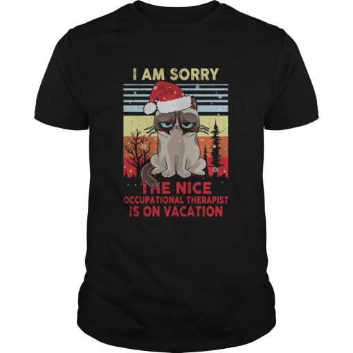 Cat Santa I Am Sorry The Nice Occupational Therapist Is On Vacation Vintage shirt