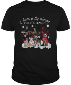 Cats Jesus is the reason for the season Christmas shirt