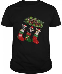 Chihuahua In The Xmas Socks Christmas shirt