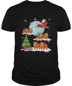 Chow Chow Reindeer Christmas Santa Claus shirt