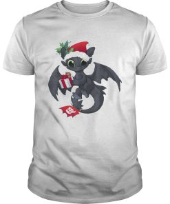 Christmas Dragon Wearing a Santa Hat shirt