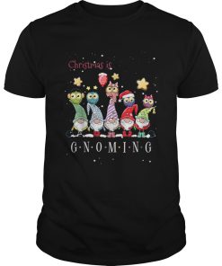 Christmas Is Gnoming Gnome Tomte Merry Christmas shirt