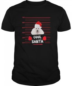 Cool Santa Poodle Dog Christmas shirt