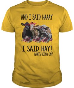 Cows and I said haaay i said hay what’s going on shirt, hoodie