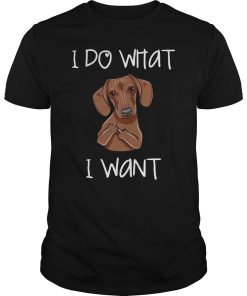 Dachshund I do what I want shirt, hoodie, long sleeve