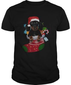 Dachshund in sock Christmas shirt