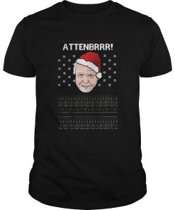 David Attenborough Attenbrrr ugly christmas shirt