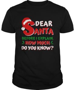 Dear Santa Before I Explain How Much Do You Know shirt