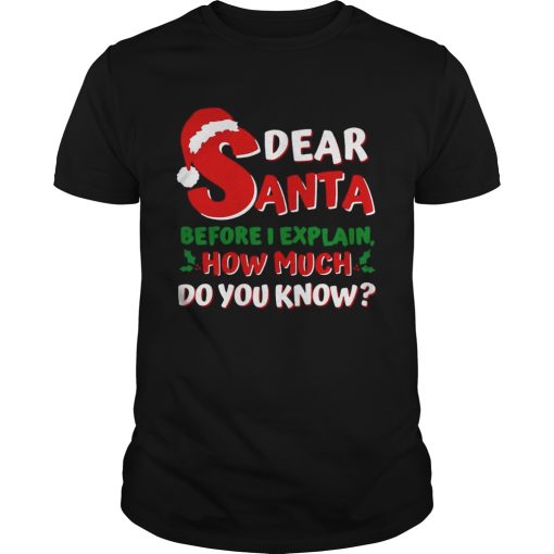 Dear Santa Before I Explain How Much Do You Know shirt