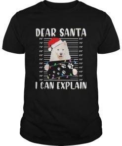 Dear Santa I Can Explain Light Christmas shirt
