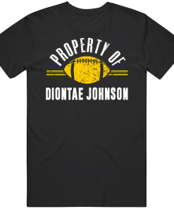 Diontae Johnson Property Of Pittsburgh Football Fan T Shirt
