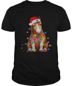 Donkey Christmas Lights shirt