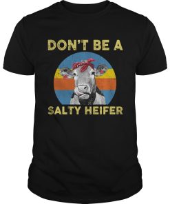 Don’t be a salty Heifer shirt, hoodie, long sleeve, ladies tee