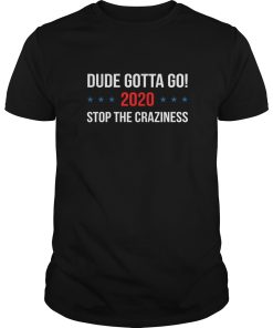 Dude Gotta Go 2020 Stop The Craziness shirt, hoodie