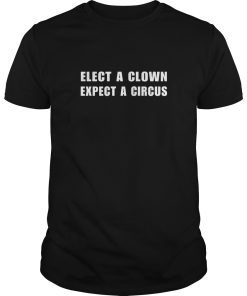 Elect a clown expect a circus shirt, hoodie, long sleeve
