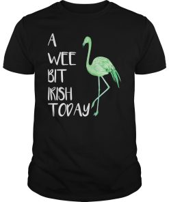 Flamingo a wee bit Irish today shirt, hoodie, long sleeve