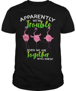 Flamingo apparently trouble when we are together who knew shirt
