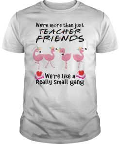 Flamingo we’re more than just teacher friends we’re like a really small gang shirt