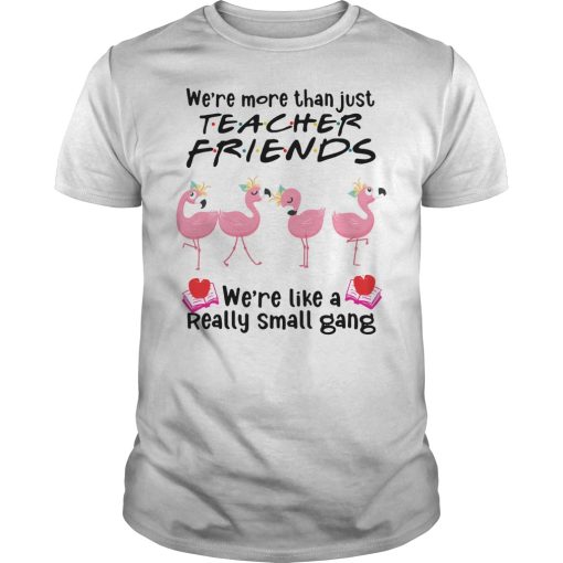 Flamingo we’re more than just teacher friends we’re like a really small gang shirt
