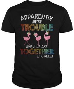 Flamingos apparently we’re trouble when we are together who knew shirt