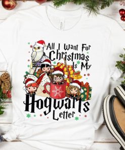 Harry Potter Wizard School Christmas Shirt, Harry Potter Fan Gift
