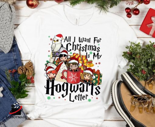 Harry Potter Wizard School Christmas Shirt, Harry Potter Fan Gift