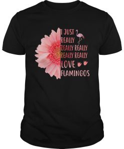 I just really really really really love Flamingos shirt, hoodie