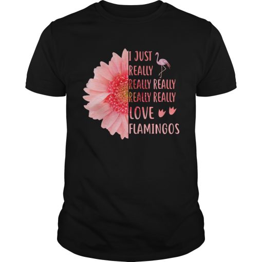 I just really really really really love Flamingos shirt, hoodie