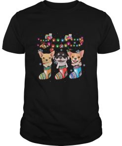 chihuahua socks merry Christmas light shirt
