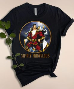 Simple Marvelous T Shirt For Fans