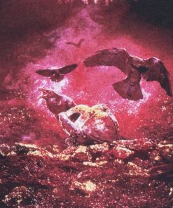 Tyr Red Valkyrja T-Shirt 4 Tyr Red Valkyrja T Shirt 5